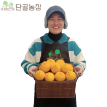 산지직송 제주 특산물 선물 1위 새콤달콤 명품 한라봉, 10kg / 가정용 / 중대과(40~50과 내외)