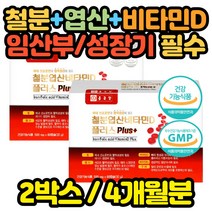 식약처인증 철분 영양제 2통 임산부 유아 어린이 필수 임신전 준비 초기 중기 50대 60대 70대 여자 여성