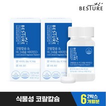 베스처 코랄칼슘 앤 마그네슘 비타민D 90정 2병 (6개월분), 선택완료, 단품없음