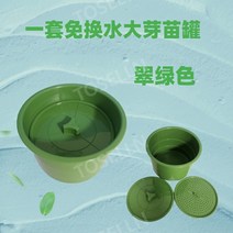 찜탕용 통통한 콩나물 숙주 재배기 기르기 시루, 에메랄드 그린 항아리