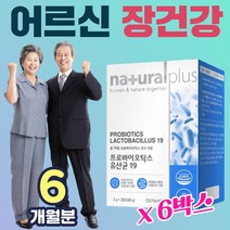 프로바이오틱스 유산균 가루 분말 스틱 락토바실러스 가세리 루테리 로셀 플란타럼 비피도 박테리움 비피덤 롱검 어른 어르신 노인 어린이 프리 바이오텍스 바이오스틱 프락토올리고당