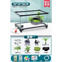 선베드 거북이 거북 어항 수조 키우기 반수생 육지, 50cm