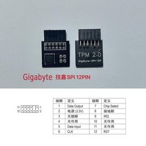 스마트 TPM 2.0 암호화 보안 모듈 원격 카드 Windows 11 업그레이드 TPM2.0 12 20 핀 멀티 마더보드 지원, GIGABYTE SPI 12PIN