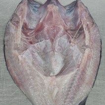 손질 생우럭 5마리 (1마리 200g내외) 활우럭 매운탕