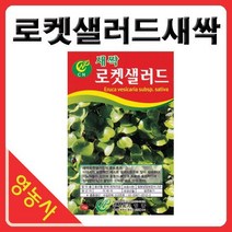 새싹로켓셀러드씨앗- 새싹무순 로켓셀러드씨 새싹씨앗 싹채소키우기 어린채소씨앗 학습용 사계절용 재배, 베이비로켓샐러드