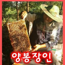 성도벌꿀 100%국내산 천연벌꿀 아카시아꿀2.4kg .감로꿀2.4kg 피나무꿀2.4kg 밤꿀 2.4kg, 2.4kg, 1개