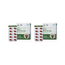 애터미 홍경천 밀크씨슬, 2개, 밀크씨슬 120정