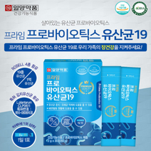 1+1 신바이오스틱 락토바실러스 파라카제이 플란타럼 synbiotics 김치 유래 유산균