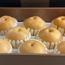 첫 수확 햇배 나주배 선물세트 당도선별 GAP인증 산지직송 5kg, 나주배 5kg(8~10과), 1박스, 나주배 5kg(8~10과)