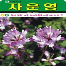 AR 자운영 소포장 씨앗 1000립