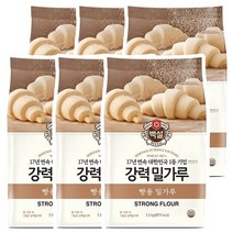 백설 강력밀가루 2.5kg x 6개
