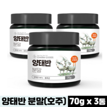 참좋은데이 호주산 양태반 분말 가루 고합량 96% 태반 효능, 70g, 3병