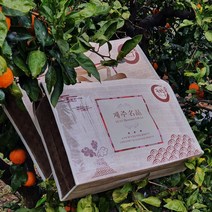 설명절 제주 천혜향 3kg 5kg(대과 선물용쇼핑백증정) 그윽한 향과 팡팡 터지는 과즙 품격있는 설과일선물세트, 천혜향 3kg(대과 9-12수/선물용쇼핑백증정)