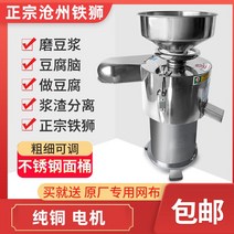 미니 가정용 두유기 죽 두유 만드는기계 Cangzhou Iron Lion Refiner 상업 아침 식사 자동 분리 슬래그 두부 기계 허베이 필터없는 전기, [06] 아이언 라이온 빅 150형 2200W동 모터(