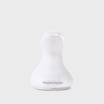 피몽쉐 더마쿨러