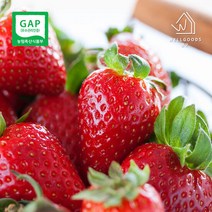 [GAP인증] 산지직송 논산 딸기 설향 800g(24과 왕특과), 단품