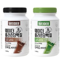 웨이더 플러스 단백질 보충제 1.02kg, 녹차라떼 맛