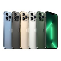 Apple 아이폰 13 Pro Max 자급제, 그래파이트, 128GB