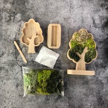DIY 스칸디아모스 가지나무액자 집에서도 만들 수 있는 천연이끼 액자, 핑크, 200