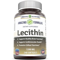 어메이징뉴트리션 포뮬러 레시틴 1200mg 소프트젤, 240개입, 1개