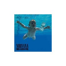 Nirvana Nevermind 레코드판 LP
