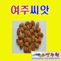 (JA소망)여주씨앗(60립), 1개