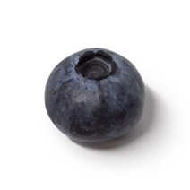 블루베리 생과 특 125g 1팩