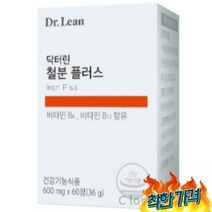 철분 비헴철 임산부 영양제 추천 60p
