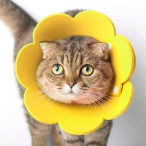 고양이 넥카라 중성화수술 상처 보호 깔때기 초경량 목보호대 넥쿠션, 옐로우