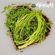 식탐대첩 세척 선별 손질 물미나리 500g, 없음, 1개