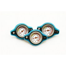 드래곤 게이지 D1 사양 레이싱 써모스트 라디에이터 캡 커버 + 수온 0.9BAR 또는 1.1BAR 1.3 바, 02 1 dot 1 bar