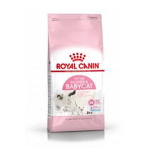 로얄캐닌 마더 앤 베이비캣 34 건식사료, 기타육류, 6kg, 1개