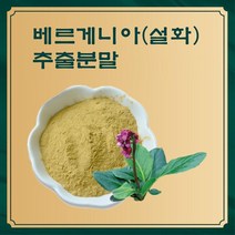 베르게니아 설화 추출분말 50g 샘플, 1, 본상품선택