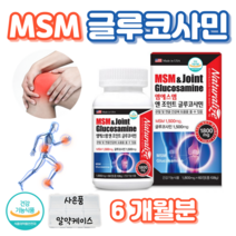 조인트 글루코사민 엠에스엠 MSM 손목 어깨 무릎 연골 관절 건강 도움 통쾌 1500 플러스 1500 홈쇼핑 영양제 성분 가격 맥스 효능 밸런스 비교 엠에쓰엠 그루코사민 글루코사밍, 6박스, 1800mg x 60정 (1개월분)