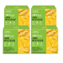 풀무원 유산균 나한테바나나 어린이효소 락토바실러스균 3상자, 4상자(240포)