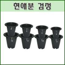 현애분 검정 - 원형화분 미니화분 플라스틱화분 물받침화분, 10호