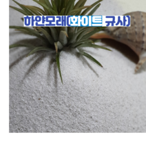 CF무균 하얀 규사모래100kg 호주 청정 자연규사 어린이모래놀이 인체무해 실내조경및인테리어 화분장식및테라리움 원예용