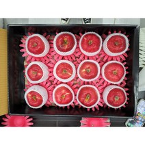 백화점 프리미엄 라인 사과 세트 9~15과 [선물용과일] 가락시장 당일 경매, 사과 12수 세트