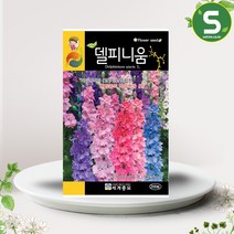 솔림텃밭몰 델피니움씨앗 200립 델피니움 꽃씨앗 혼합종