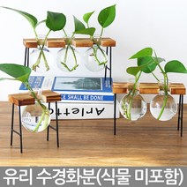 나무 스탠드 유리 수경화분(1P) - 화분 책상화분 거실화분 수경 유리화분 화병 실내화분 인테리어화분 투명화분 식물 유리병 수경재배, 01_Sein_스탠드수경화분(B01)
