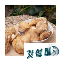 건조노루궁뎅이버섯 100g 무농약 차 효능, 건노루궁뎅이버섯100g