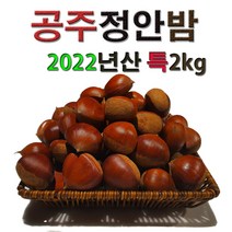 특대2kg 정안알밤 공주밤 정안밤 햇밤 알밤 밤 생율 국내산 옥광 대보 삼조생