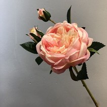 사진촬영 배경 인테리어 롤 스크린 블라인드 65 cm 긴 분기 손 느낌 보습 장미 모란 인공 실크 꽃 홈 장식 웨딩 벽 장면 레이아웃 꽃, 다크 핑크