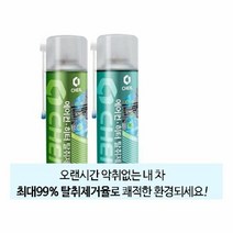 RT 차량용 에어컨 히터 탈취제 자동차 실내용품 방향제, 제이네트웍스 숲속향