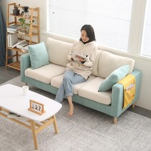 3인소파 원룸 24평소파 스웨이드 물세탁 1700 2000, 그레이 라텍스 1.73m + 베개2