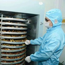 고추말리는기계 고추건조기 농업용 대형, 옵션1