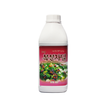 미엘 복분자밀 1kg, 1개