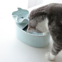 꽃잎 고양이 세라믹정수기 분수 음수대 강아지정수기 급수기, 사각필터 2묶음 추가
