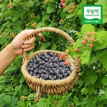 전남 보성에서 보내드리는 무농약 토종 복분자(급냉) 2kg4kg, 복분자 2kg