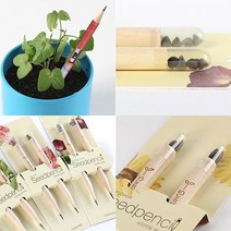 자연관찰 졸업 입학선물 씨앗연필 필통 세트_2487EA, 바질